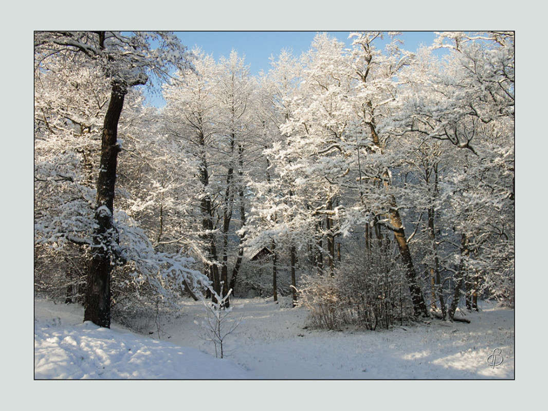 *** ����� Vitaly Konakov �� PhotoGeek.ru #������ ��� ������� #����� ��������