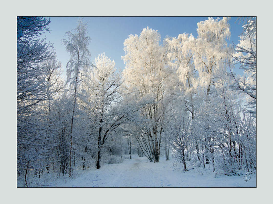 *** ����� Vitaly Konakov �� PhotoGeek.ru #������ ��� ������� #����� ��������