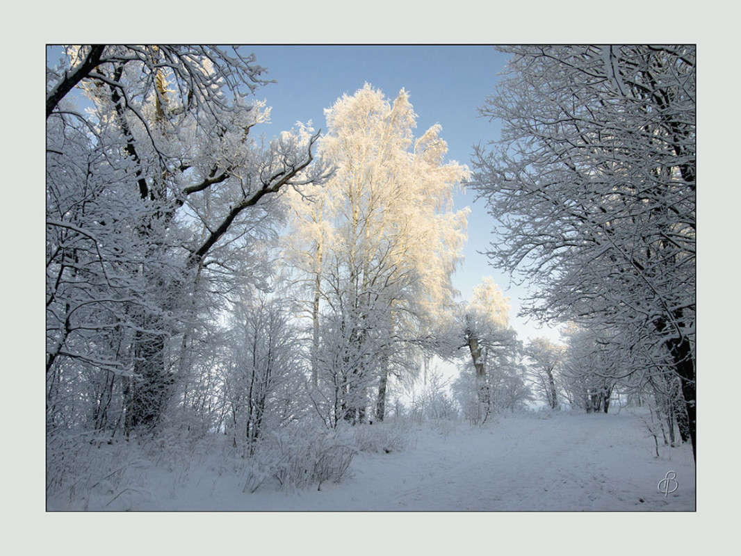 *** ����� Vitaly Konakov �� PhotoGeek.ru #������ ��� ������� #����� ��������