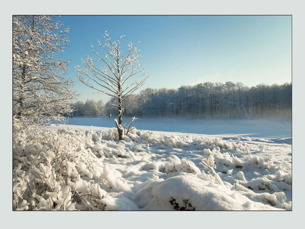 *** ����� Vitaly Konakov �� PhotoGeek.ru #������ ��� ������� #����� ��������