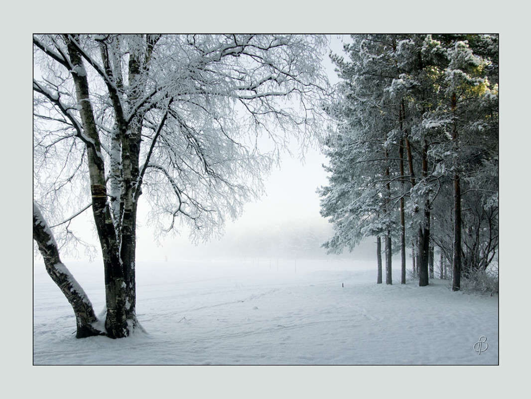 *** ����� Vitaly Konakov �� PhotoGeek.ru #������ ��� ������� #����� ��������