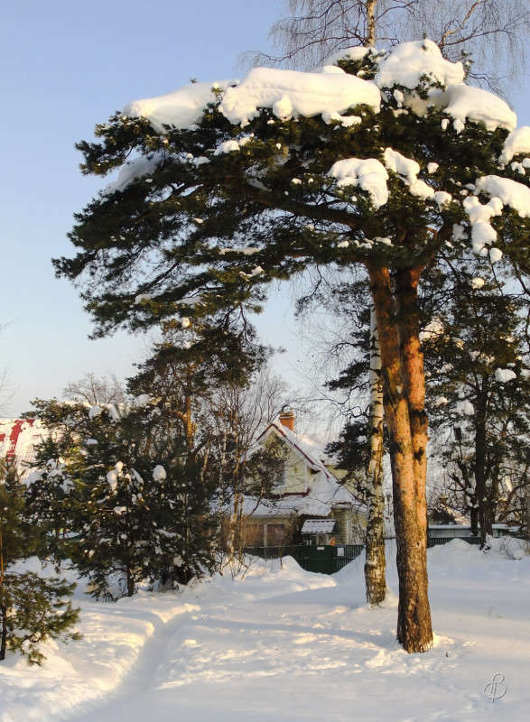 *** ����� Vitaly Konakov �� PhotoGeek.ru #������ ��� ������� #����� ��������