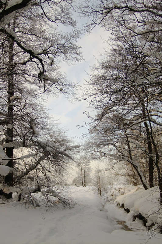 *** ����� Vitaly Konakov �� PhotoGeek.ru #������ ��� ������� #����� ��������