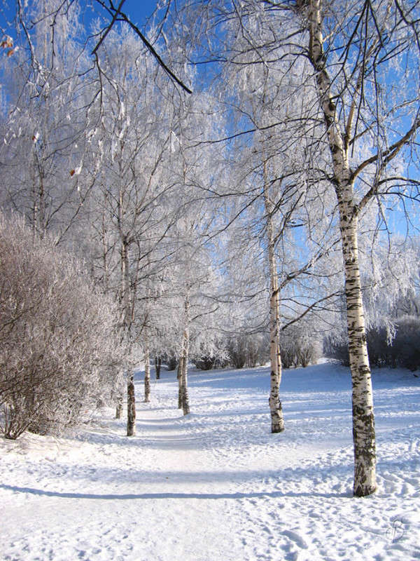 *** ����� Vitaly Konakov �� PhotoGeek.ru #������ ��� ������� #����� ��������