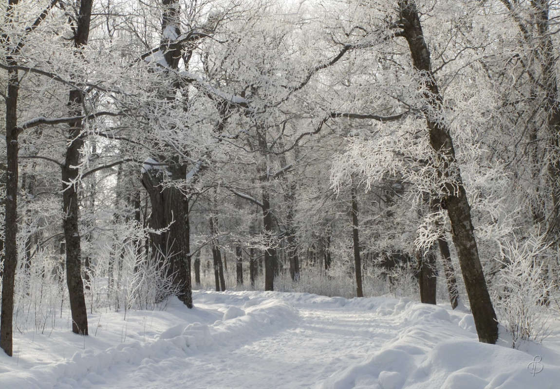 *** ����� Vitaly Konakov �� PhotoGeek.ru #������ ��� ������� #����� ��������