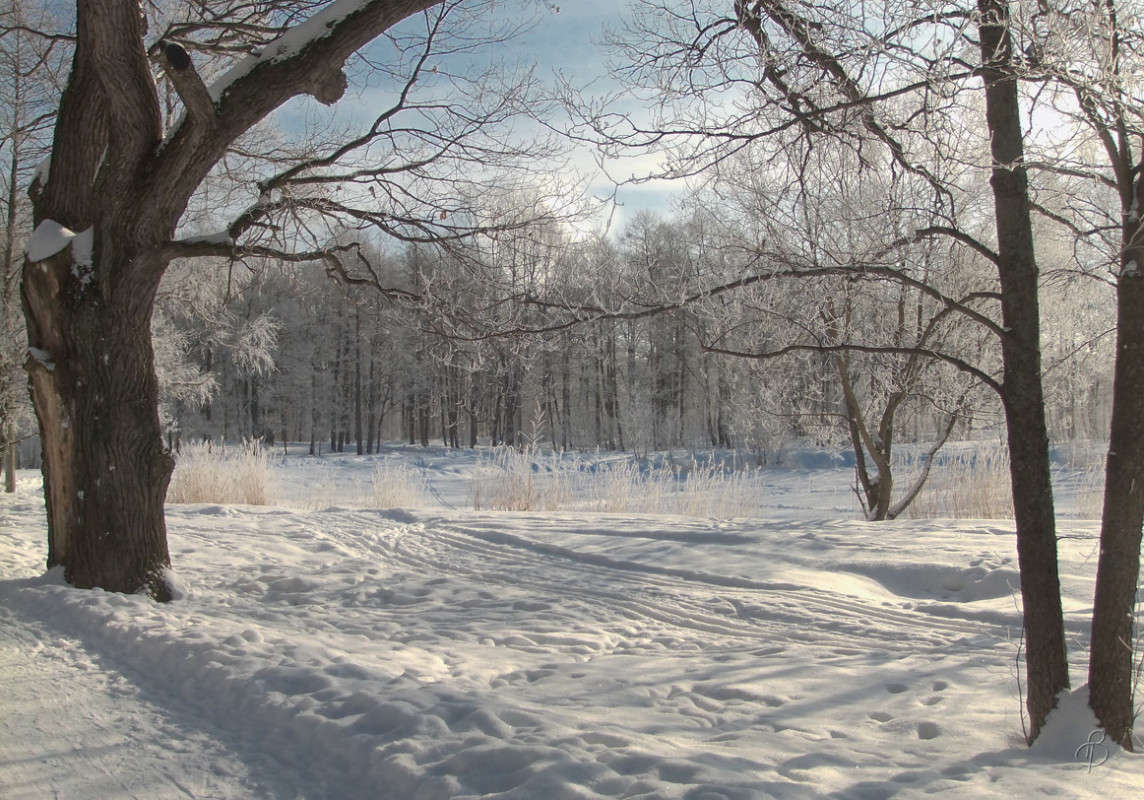 *** ����� Vitaly Konakov �� PhotoGeek.ru #������ ��� ������� #����� ��������