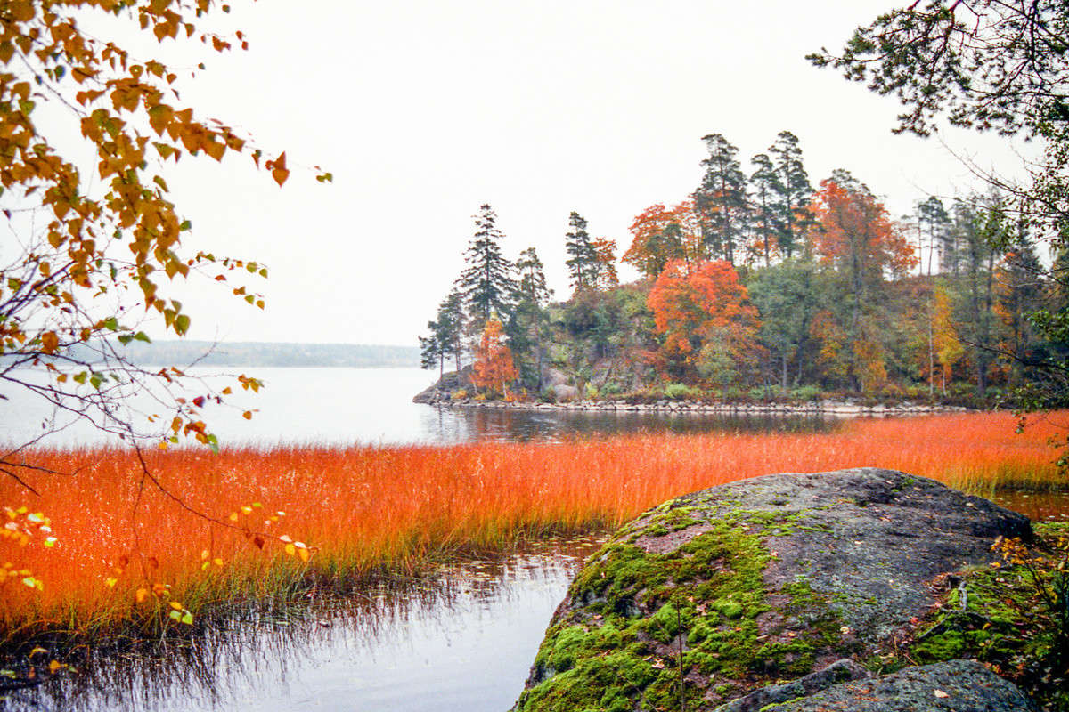 � ����� ������� ����� Vitaly Konakov �� PhotoGeek.ru #������ ��� ������� #����� ��������