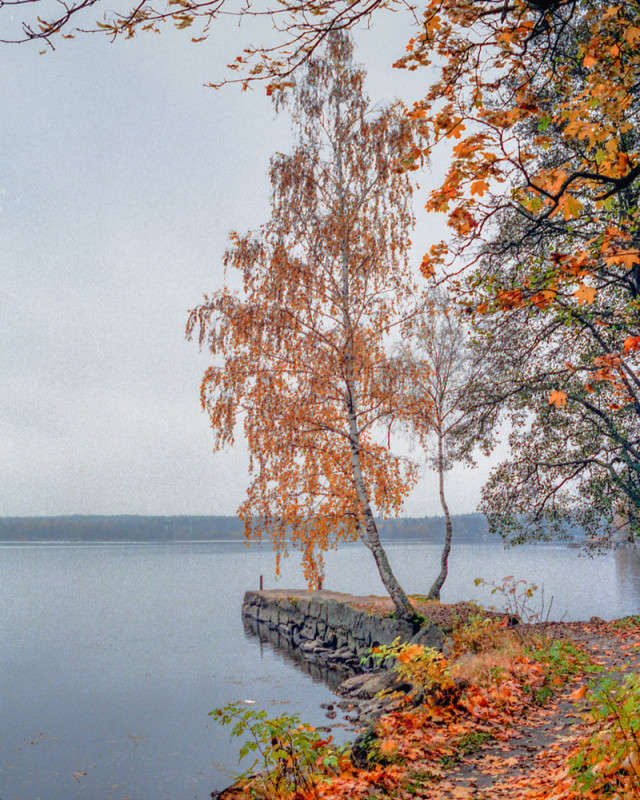 � ����� ������� 3 ����� Vitaly Konakov �� PhotoGeek.ru #������ ��� ������� #����� ��������