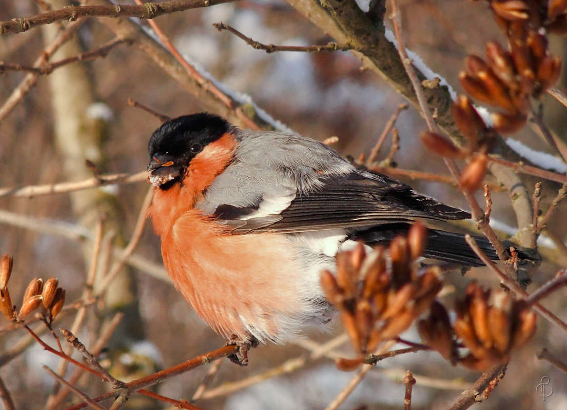 *** ����� Vitaly Konakov �� PhotoGeek.ru #�������� ��� #����� ��� ��� ���������