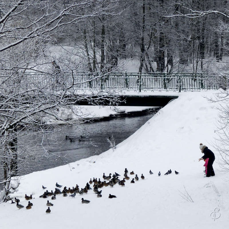 *** ����� Vitaly Konakov �� PhotoGeek.ru #������ ��� ������� #����� ��������