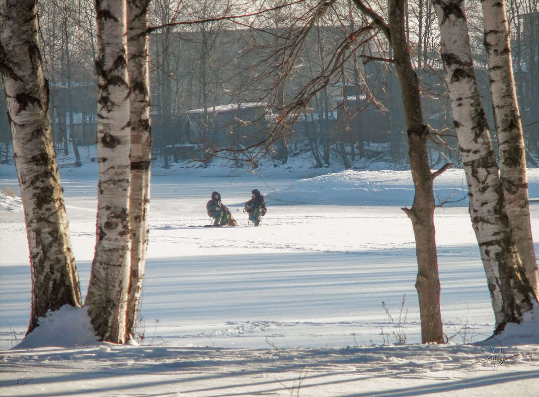 �� ������ ������� ����� Vitaly Konakov �� PhotoGeek.ru #������ ��� ������� #����� ��������