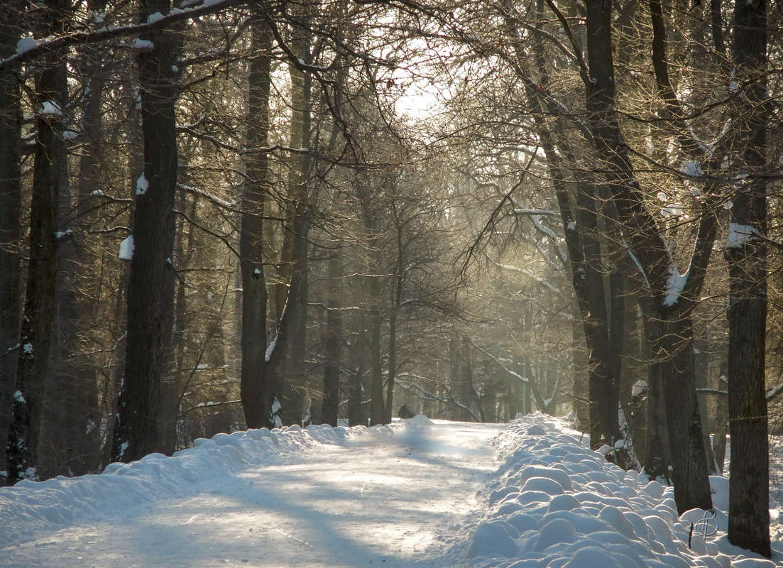 *** ����� Vitaly Konakov �� PhotoGeek.ru #������ ��� ������� #����� ��������