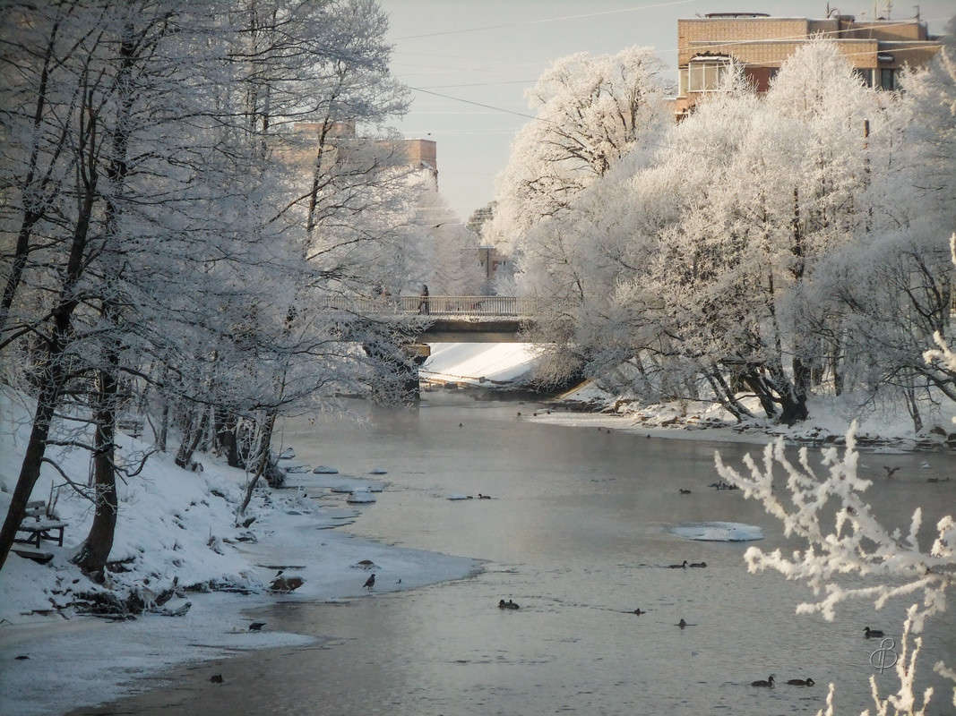 ������ �������� 13 ����� Vitaly Konakov �� PhotoGeek.ru #������ ��� ������� #����� ��������