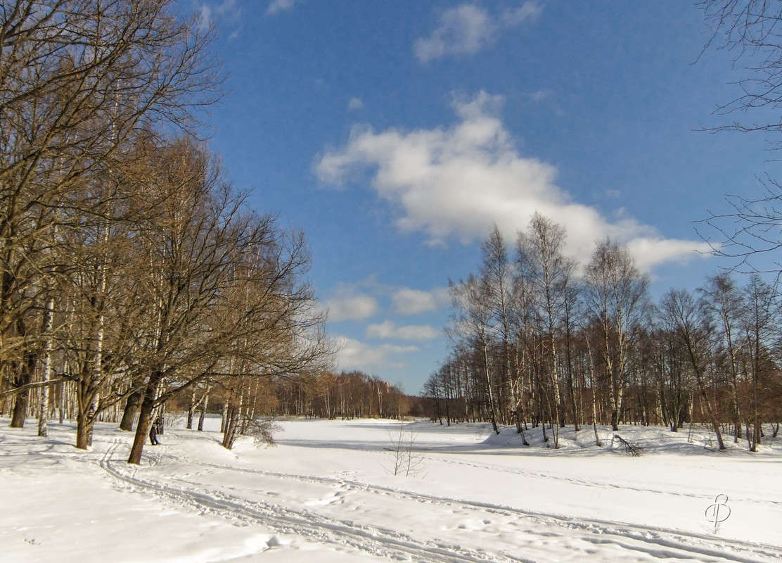 ������ ���� 5 ����� Vitaly Konakov �� PhotoGeek.ru #������ ��� ������� #����� ��������