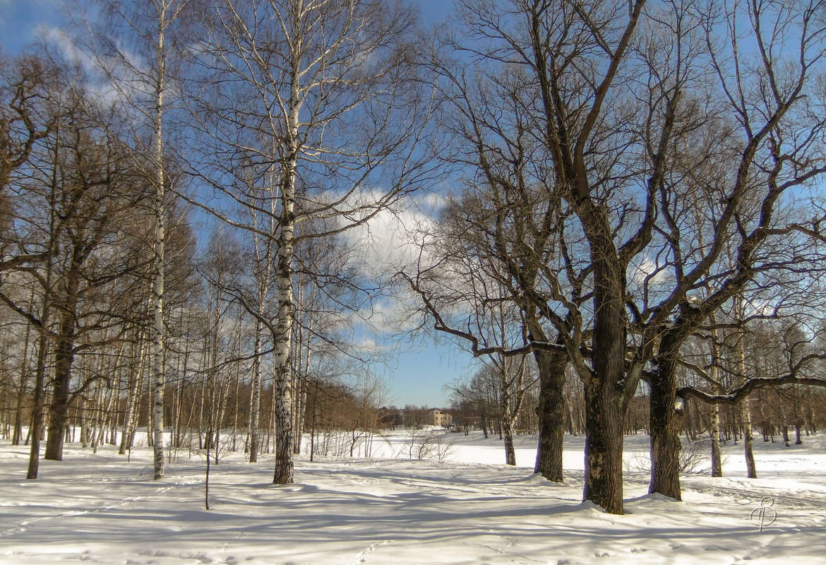 ������ ����  6 ����� Vitaly Konakov �� PhotoGeek.ru #������ ��� ������� #����� ��������