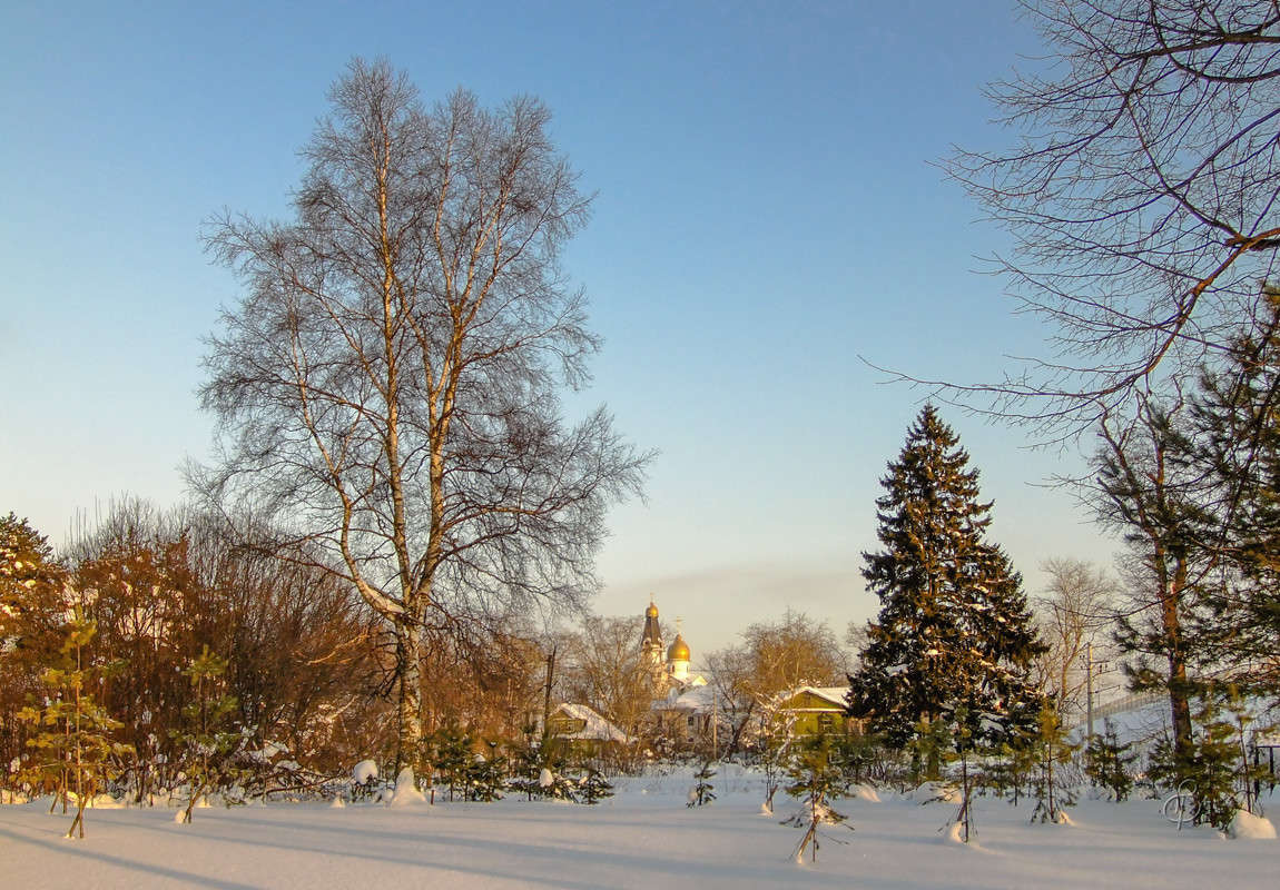 ������ ����� ����� Vitaly Konakov �� PhotoGeek.ru #������ ��� ������� #����� ��������