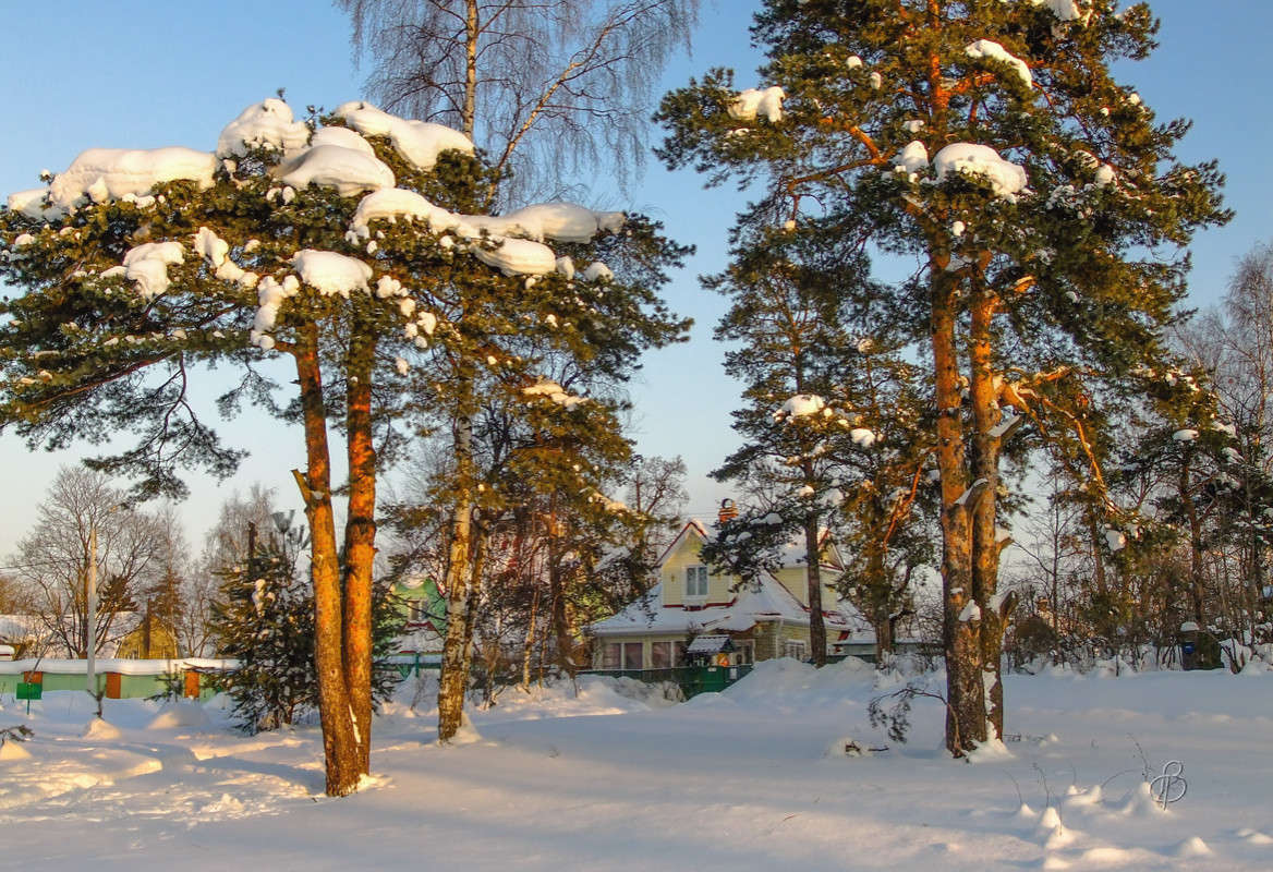 ������ ����� 4 ����� Vitaly Konakov �� PhotoGeek.ru #������ ��� ������� #����� ��������