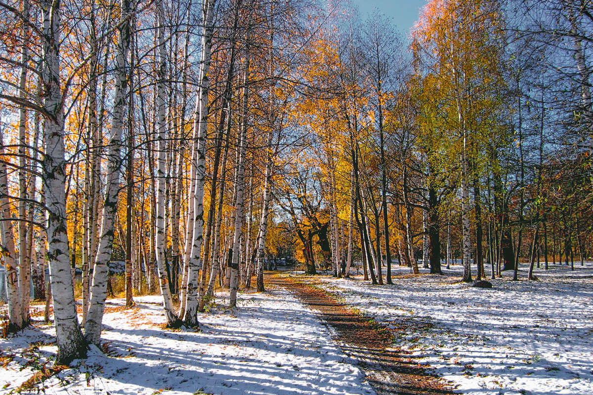 ������ ���� ����� Vitaly Konakov �� PhotoGeek.ru #������ ��� ������� #����� ��������