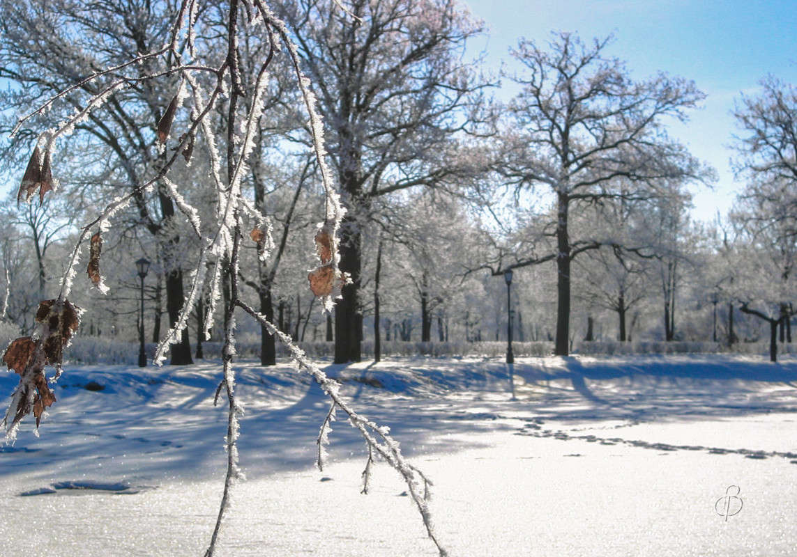 *** ����� Vitaly Konakov �� PhotoGeek.ru #������ ��� ������� #����� ��������
