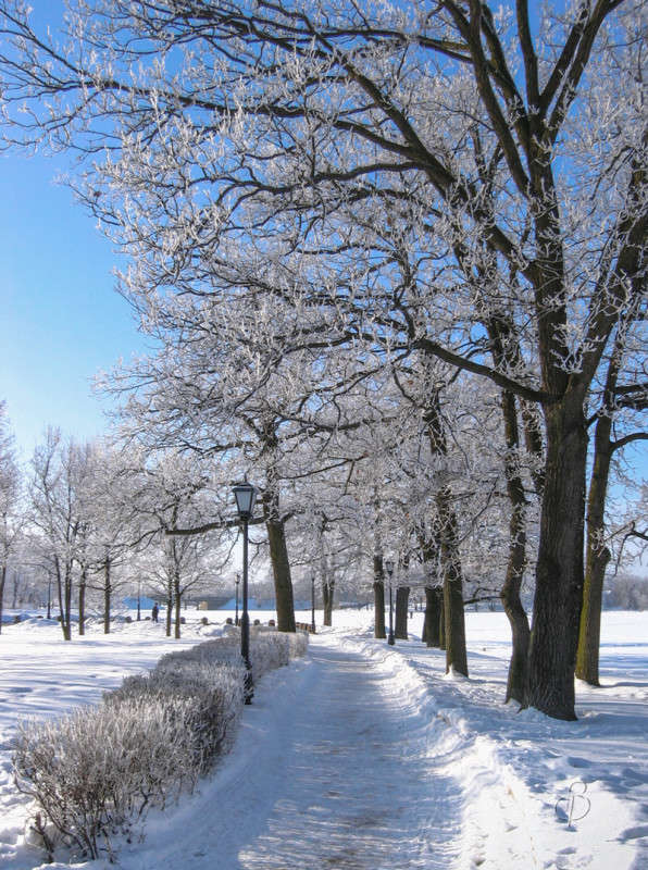 *** ����� Vitaly Konakov �� PhotoGeek.ru #������ ��� ������� #����� ��������