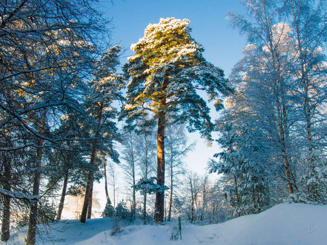 *** ����� Vitaly Konakov �� PhotoGeek.ru #������ ��� ������� #����� ��������