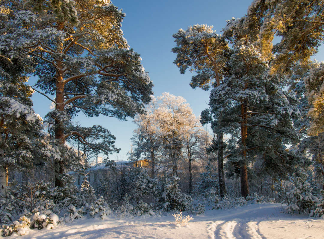 *** ����� Vitaly Konakov �� PhotoGeek.ru #������ ��� ������� #����� ��������