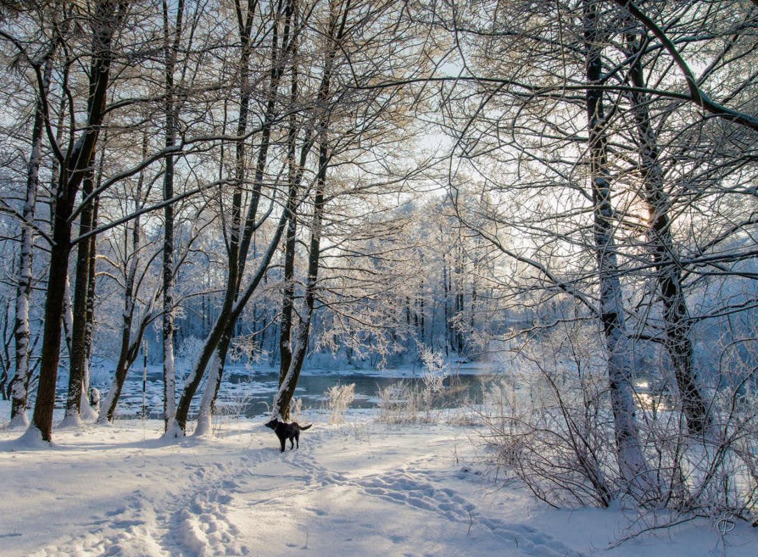 *** ����� Vitaly Konakov �� PhotoGeek.ru #������ ��� ������� #����� ��������