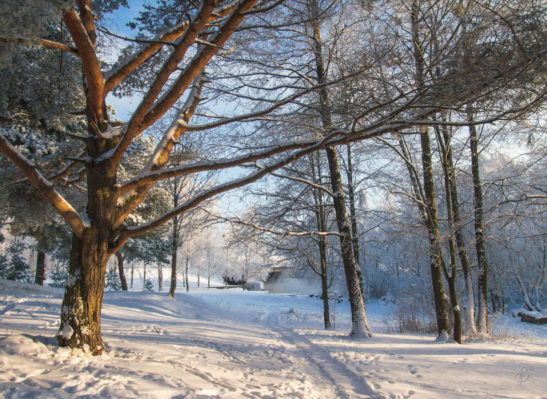 *** ����� Vitaly Konakov �� PhotoGeek.ru #������ ��� ������� #����� ��������