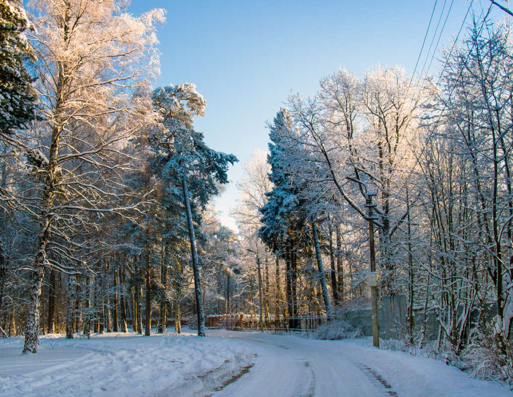 *** ����� Vitaly Konakov �� PhotoGeek.ru #������ ��� ������� #����� ��������