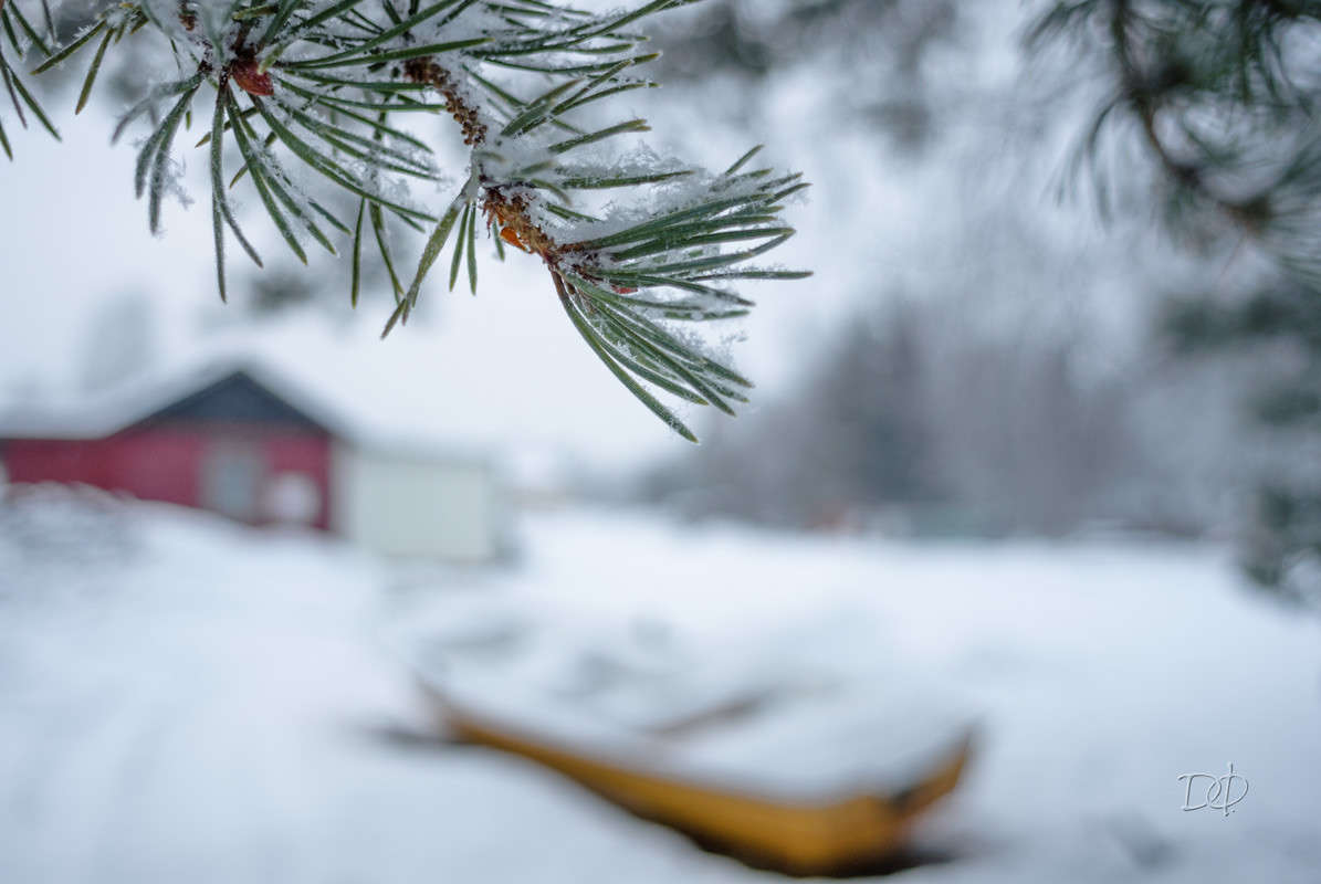 *** ����� Vitaly Konakov �� PhotoGeek.ru #������ ��� ������� #����� ��������