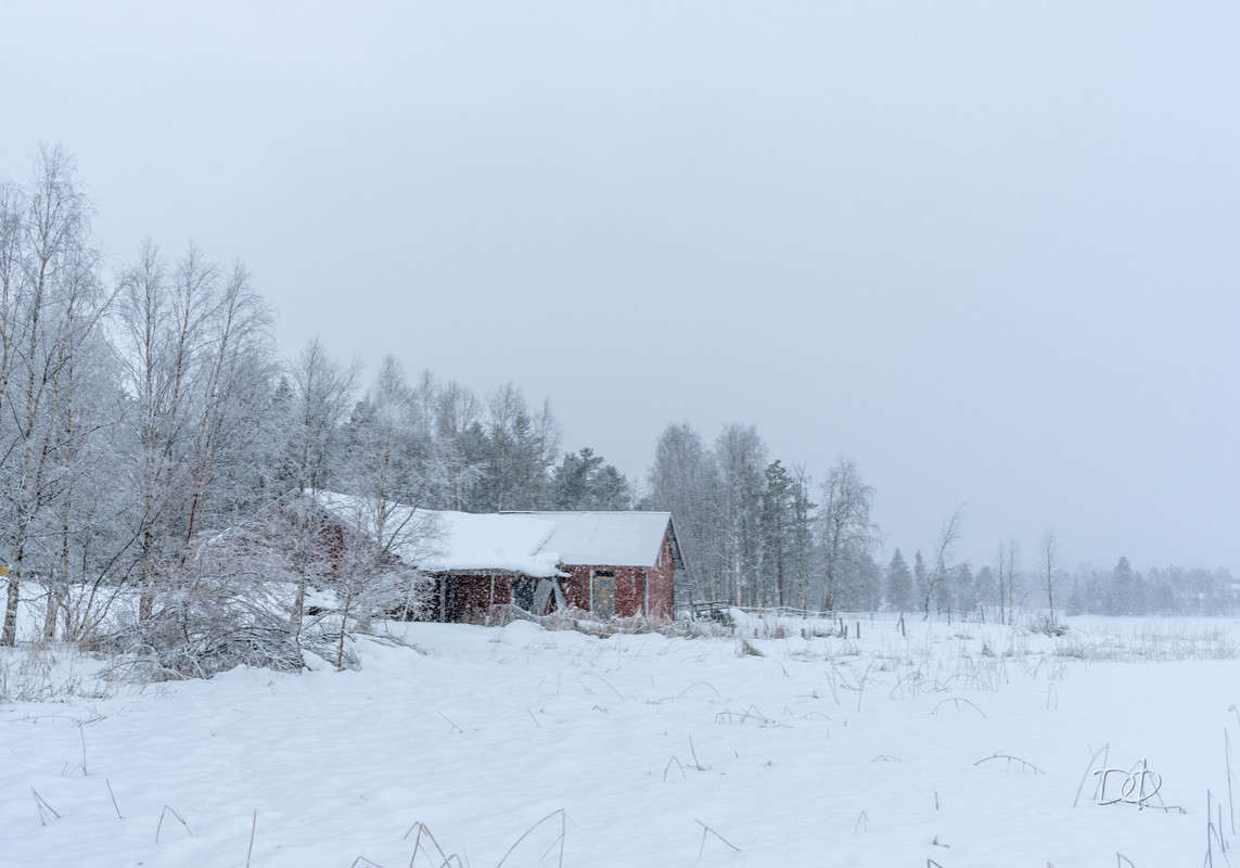 *** ����� Vitaly Konakov �� PhotoGeek.ru #������ ��� ������� #����� ��������