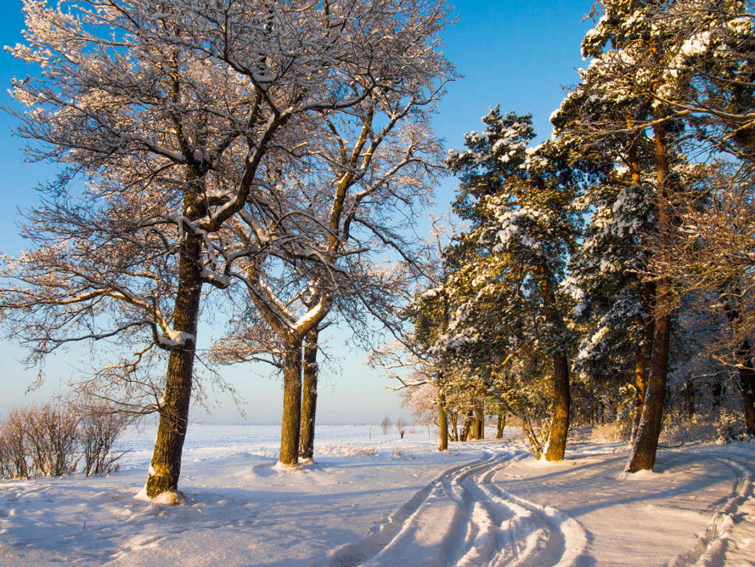 *** ����� Vitaly Konakov �� PhotoGeek.ru #������ ��� ������� #����� ��������