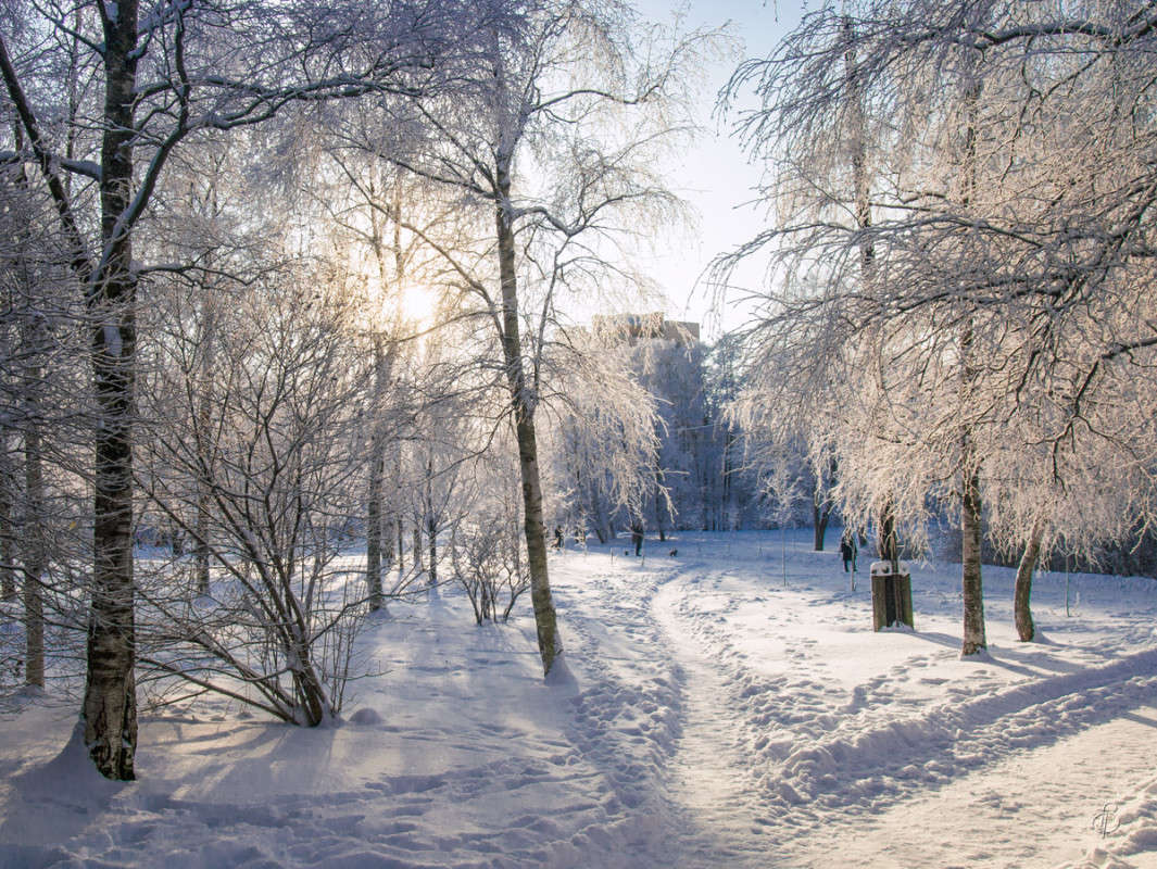 *** ����� Vitaly Konakov �� PhotoGeek.ru #������ ��� ������� #����� ��������