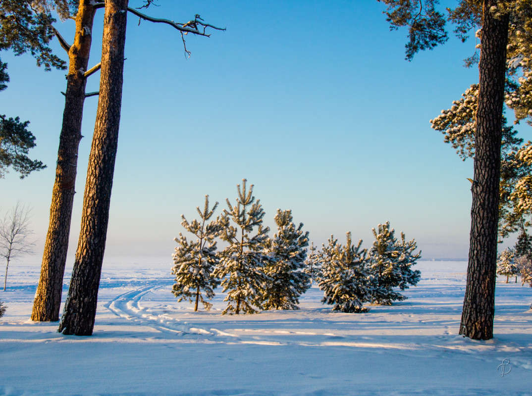 *** ����� Vitaly Konakov �� PhotoGeek.ru #������ ��� ������� #����� ��������