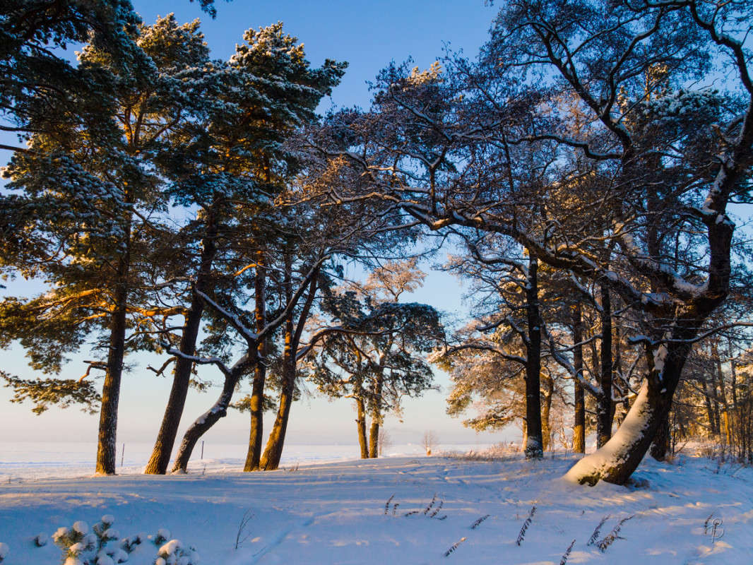 *** ����� Vitaly Konakov �� PhotoGeek.ru #������ ��� ������� #����� ��������