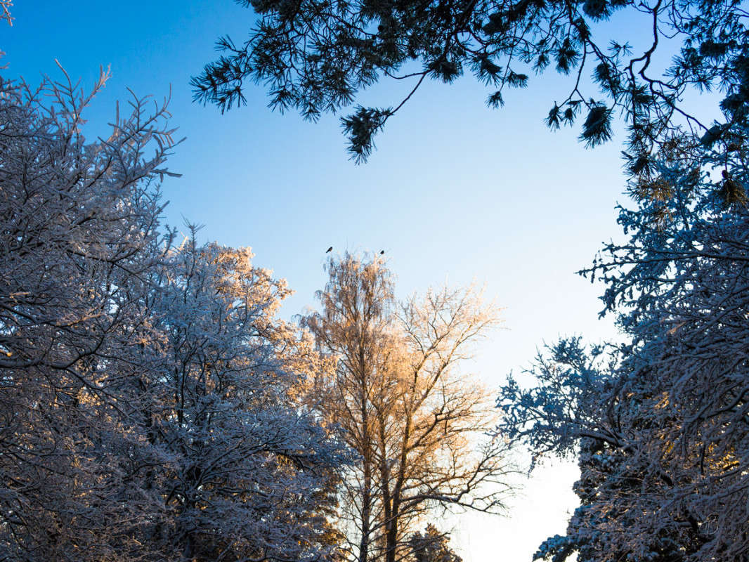 *** ����� Vitaly Konakov �� PhotoGeek.ru #������ ��� ������� #����� ��������