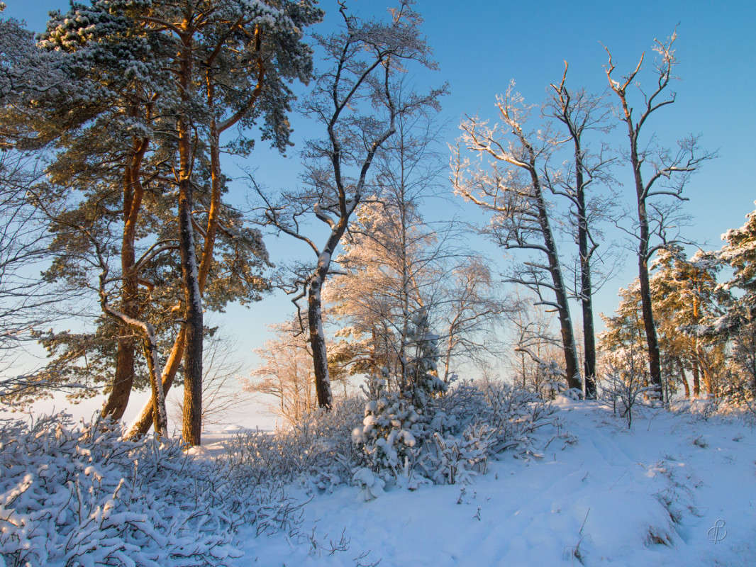 *** ����� Vitaly Konakov �� PhotoGeek.ru #������ ��� ������� #����� ��������