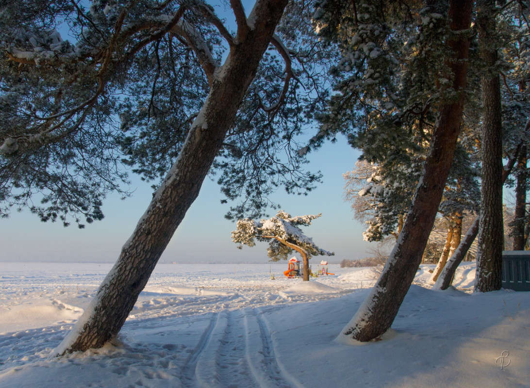 *** ����� Vitaly Konakov �� PhotoGeek.ru #������ ��� ������� #����� ��������