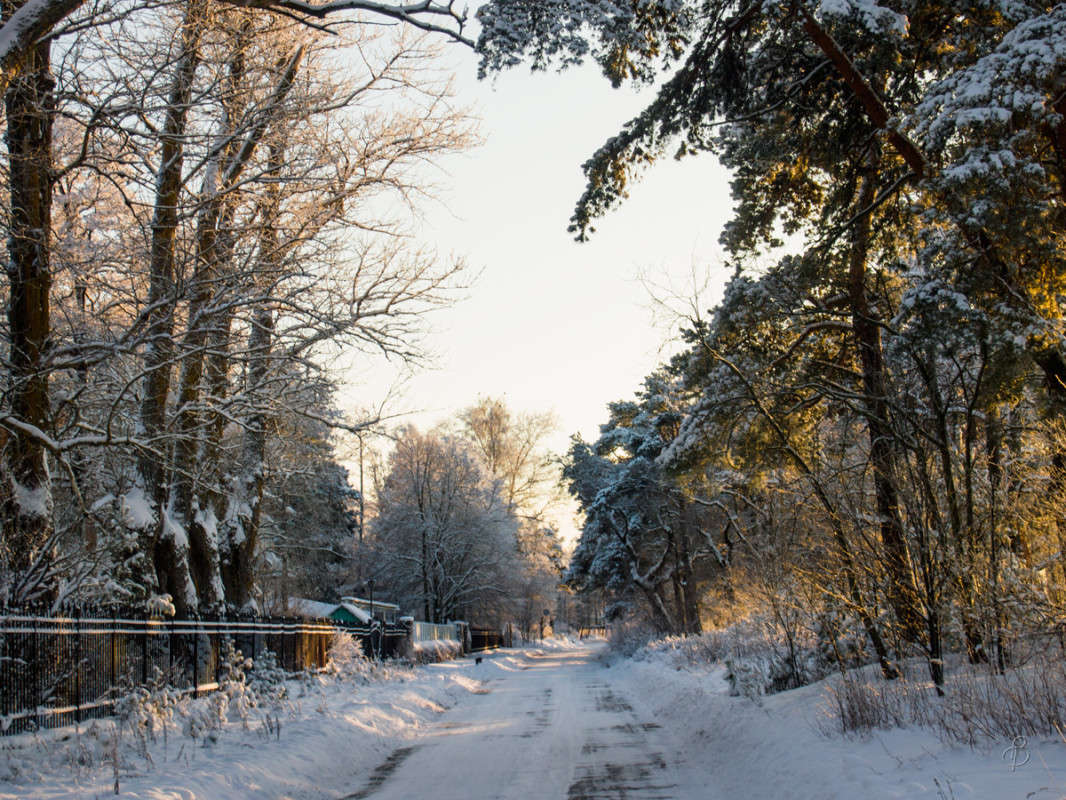 *** ����� Vitaly Konakov �� PhotoGeek.ru #������ ��� �������