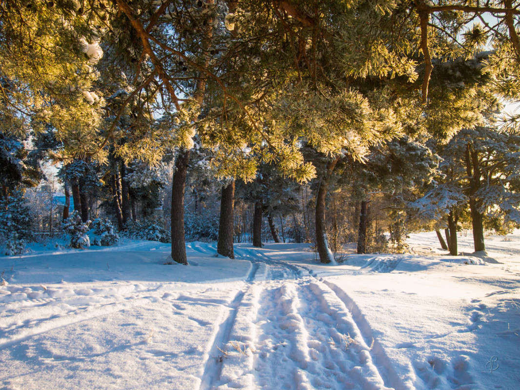 *** ����� Vitaly Konakov �� PhotoGeek.ru #������ ��� ������� #����� ��������