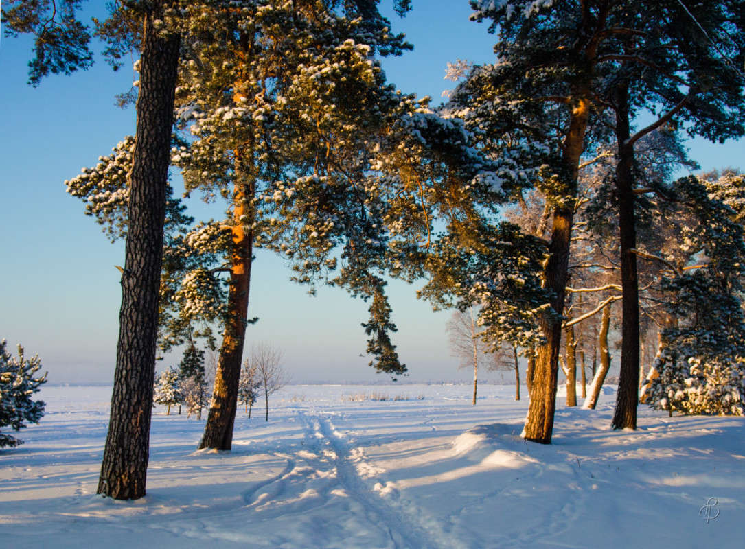 *** ����� Vitaly Konakov �� PhotoGeek.ru #������ ��� ������� #����� ��������