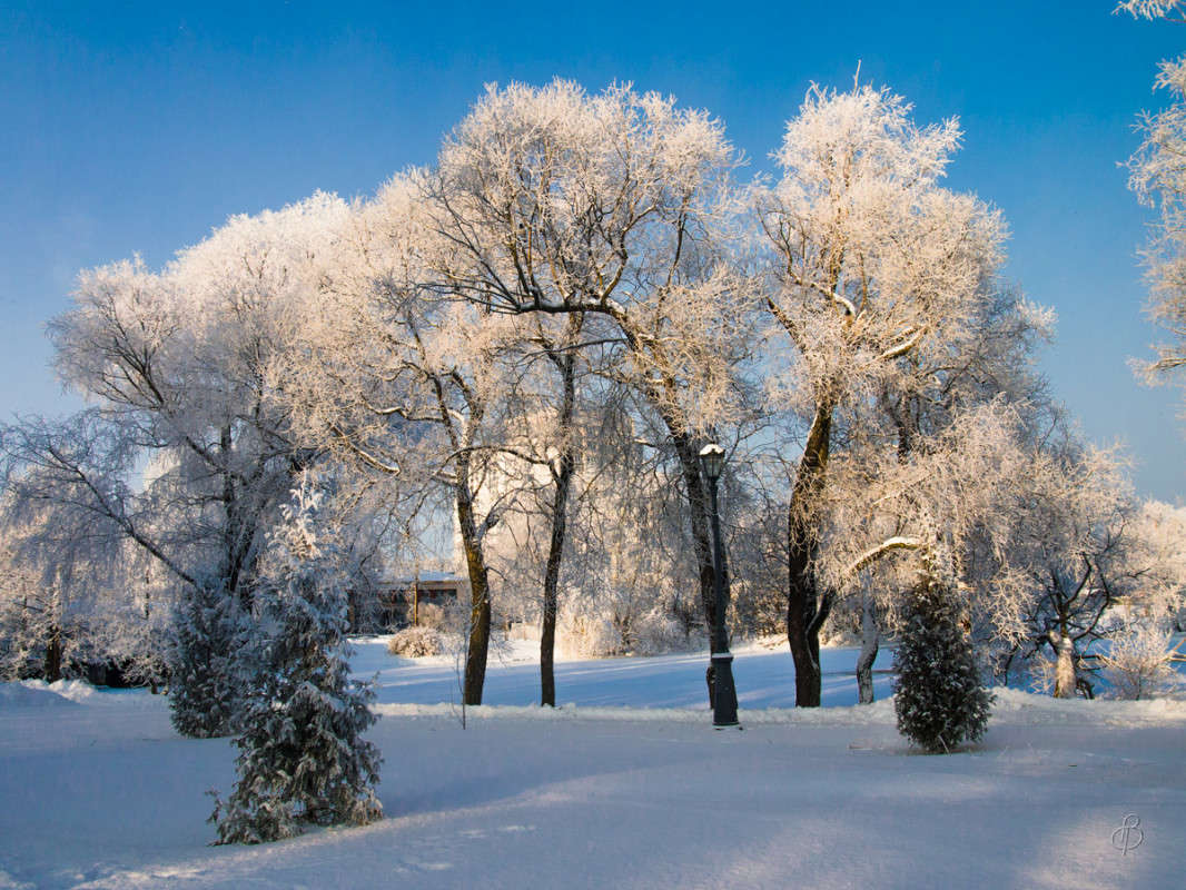 *** ����� Vitaly Konakov �� PhotoGeek.ru #������ ��� ������� #����� ��������