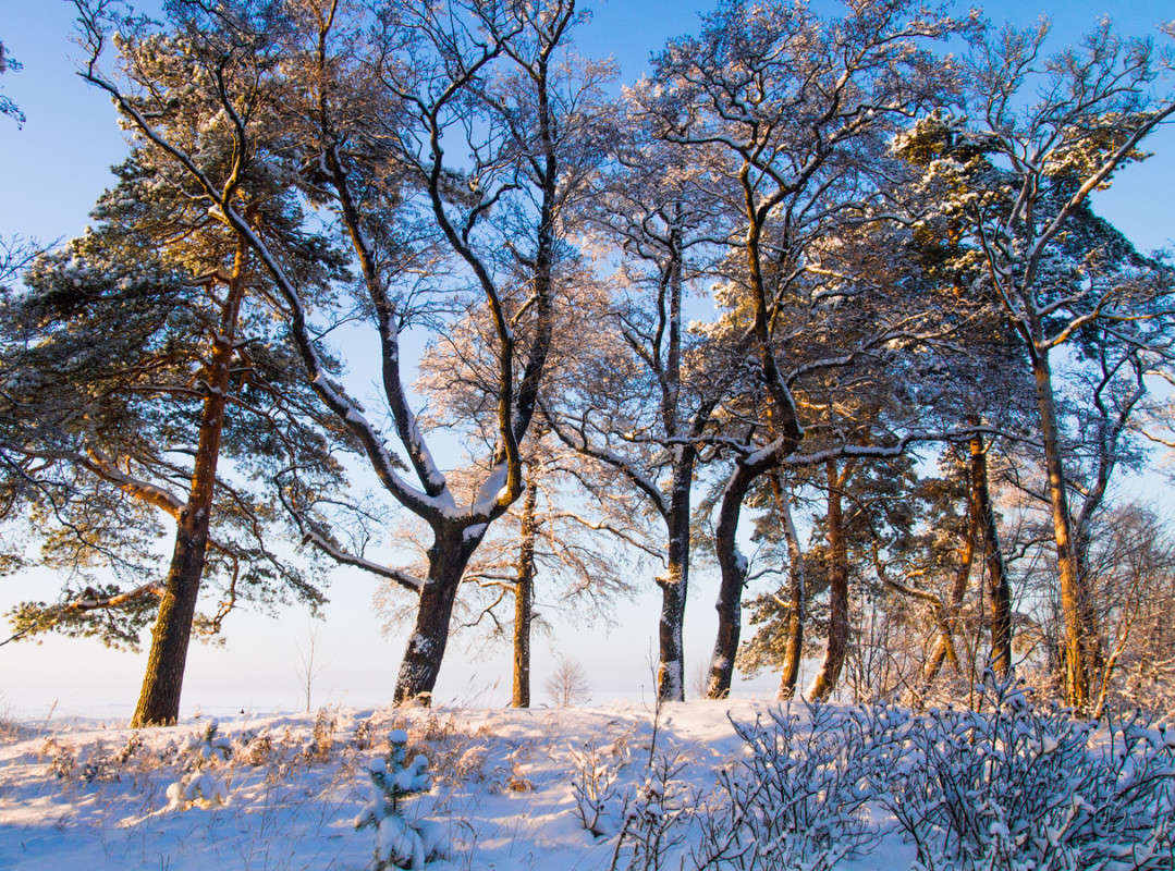 *** ����� Vitaly Konakov �� PhotoGeek.ru #������ ��� ������� #����� ��������