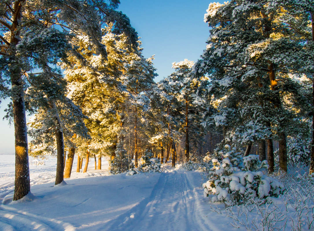 *** ����� Vitaly Konakov �� PhotoGeek.ru #������ ��� ������� #����� ��������