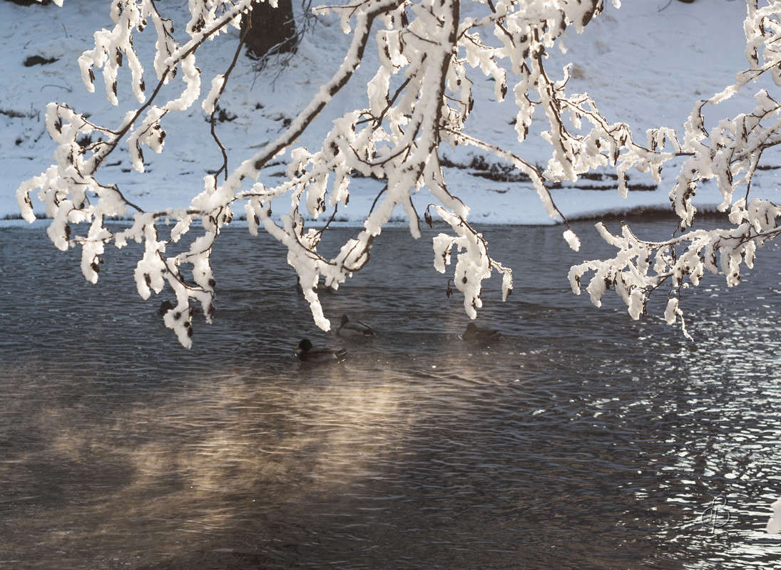 *** ����� Vitaly Konakov �� PhotoGeek.ru #������ ��� ������� #����� ��������