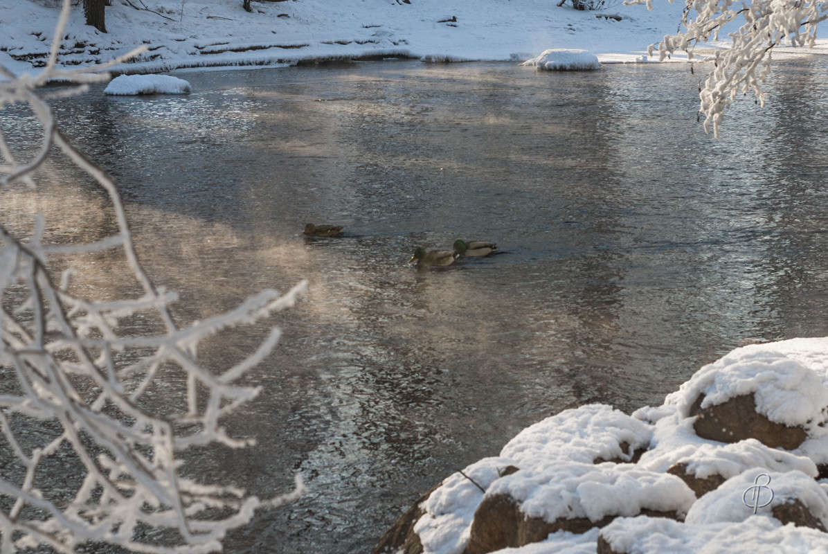 *** ����� Vitaly Konakov �� PhotoGeek.ru #������ ��� ������� #����� ��������