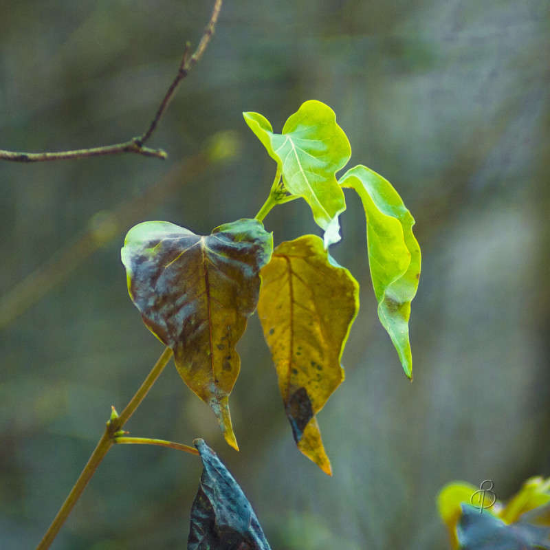 ���������� ������� ����� Vitaly Konakov �� PhotoGeek.ru #������ ��� ������� #����� ��������