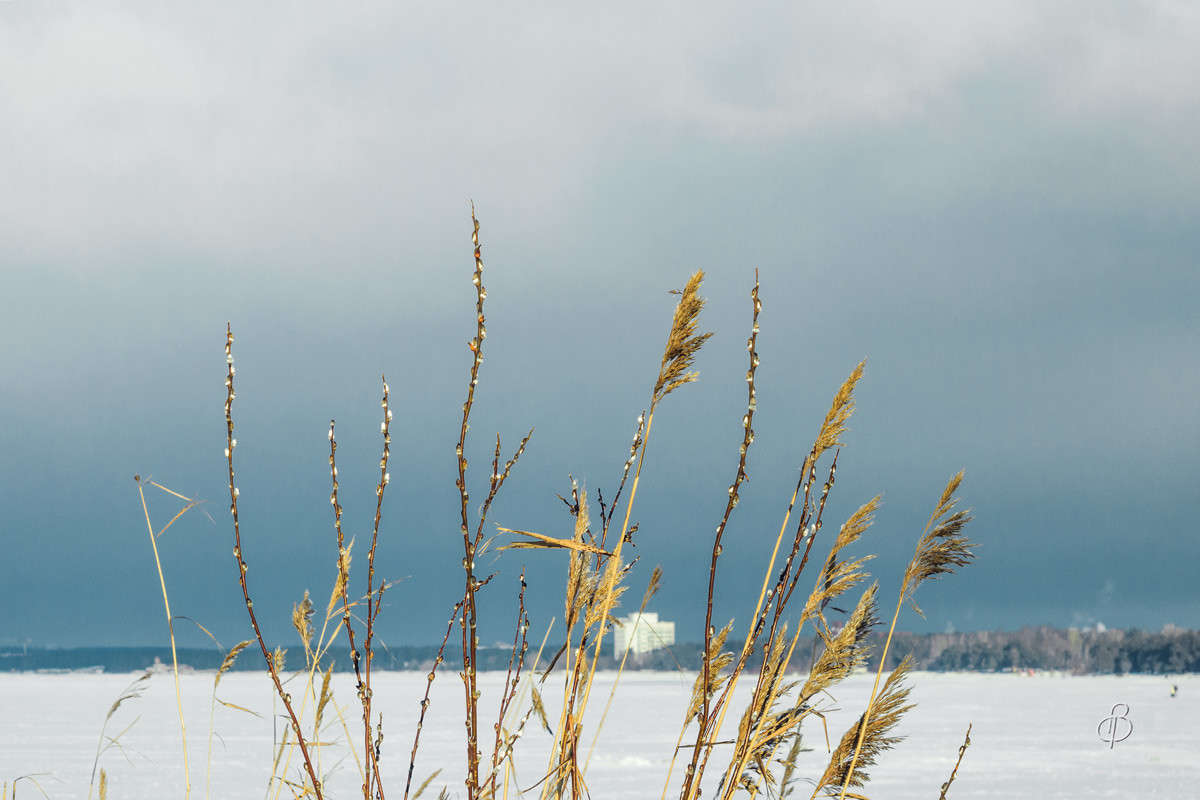 �������� ����� ����� Vitaly Konakov �� PhotoGeek.ru #������ ��� ������� #����� ��������