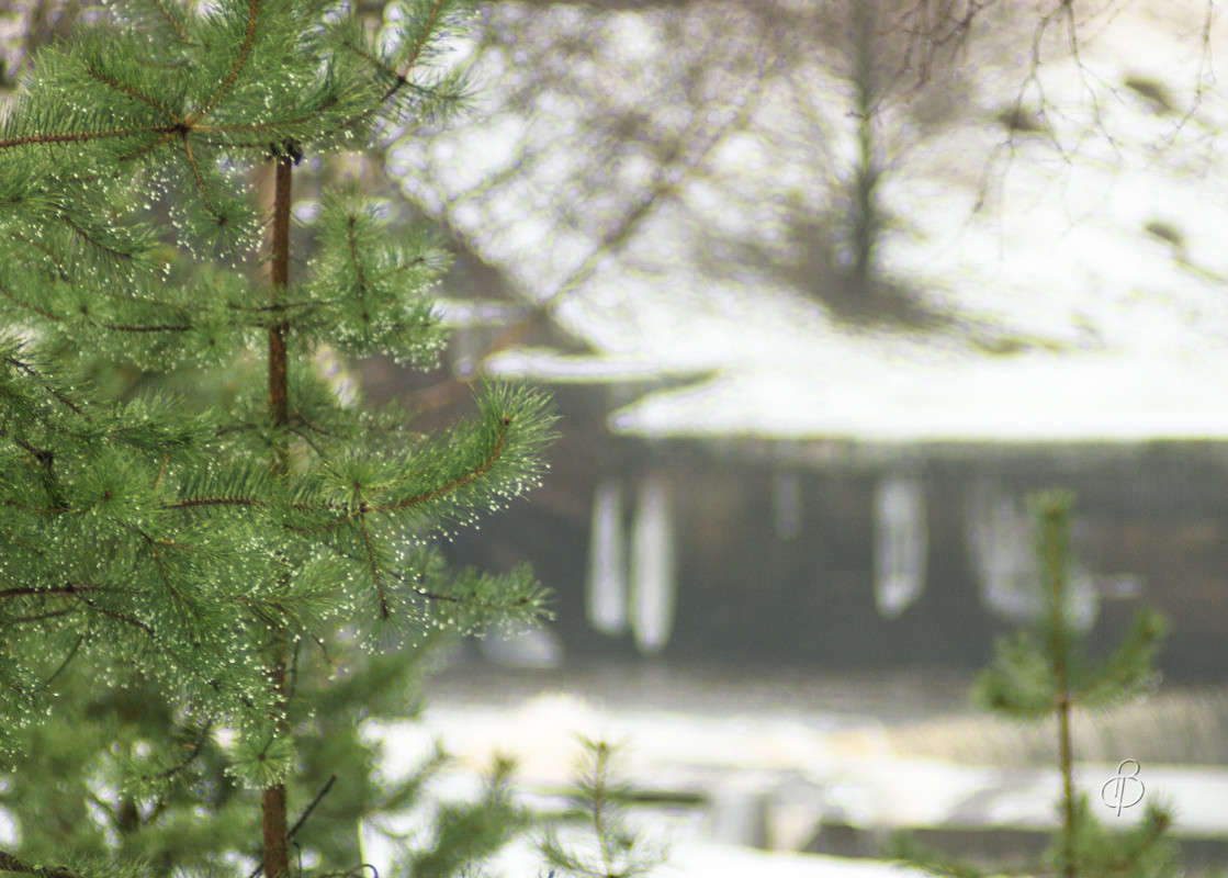 ���� ���� ����� Vitaly Konakov �� PhotoGeek.ru #������ ��� ������� #����� ��������