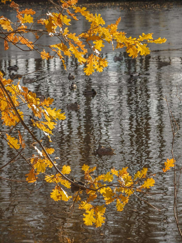 *** ����� Vitaly Konakov �� PhotoGeek.ru #������ ��� ������� #����� ��������